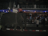 Bangkok Street02